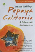 Sukses budi daya pepaya california di pekarangan dan perkebunan